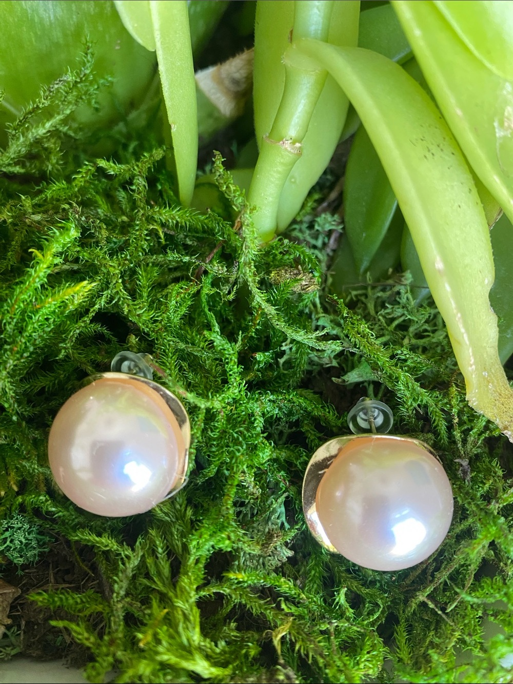 Elegant Pink Pearl Stud Earrings with Gold-Tone Accent